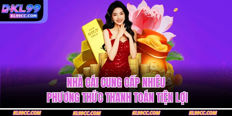 Nhà cái cung cấp nhiêu phương thức thanh toán tiện lợi